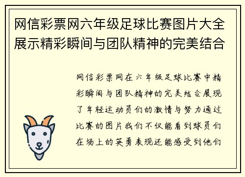 网信彩票网六年级足球比赛图片大全展示精彩瞬间与团队精神的完美结合