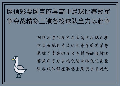 网信彩票网宝应县高中足球比赛冠军争夺战精彩上演各校球队全力以赴争夺荣誉
