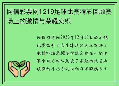 网信彩票网1219足球比赛精彩回顾赛场上的激情与荣耀交织
