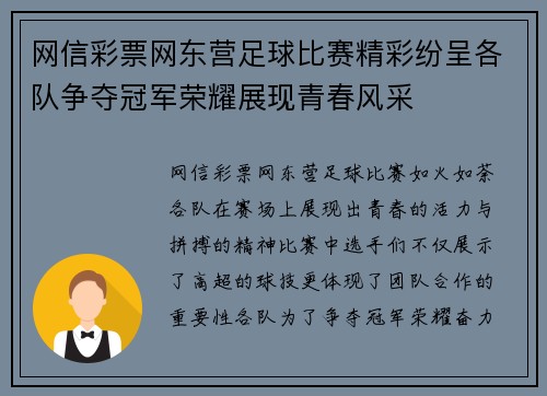 网信彩票网东营足球比赛精彩纷呈各队争夺冠军荣耀展现青春风采