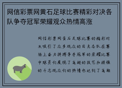 网信彩票网黄石足球比赛精彩对决各队争夺冠军荣耀观众热情高涨