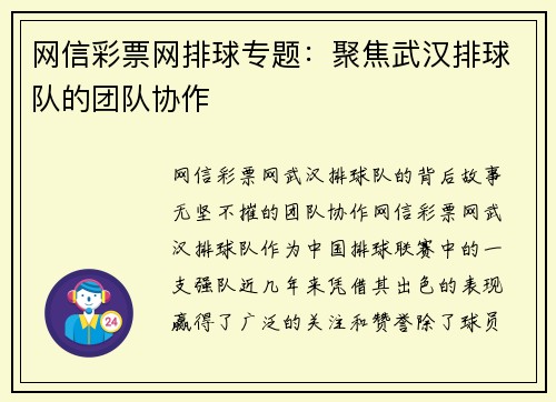 网信彩票网排球专题：聚焦武汉排球队的团队协作