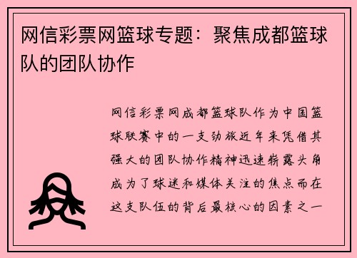 网信彩票网篮球专题：聚焦成都篮球队的团队协作