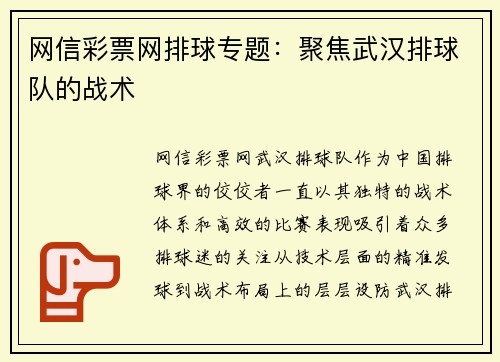 网信彩票网排球专题：聚焦武汉排球队的战术